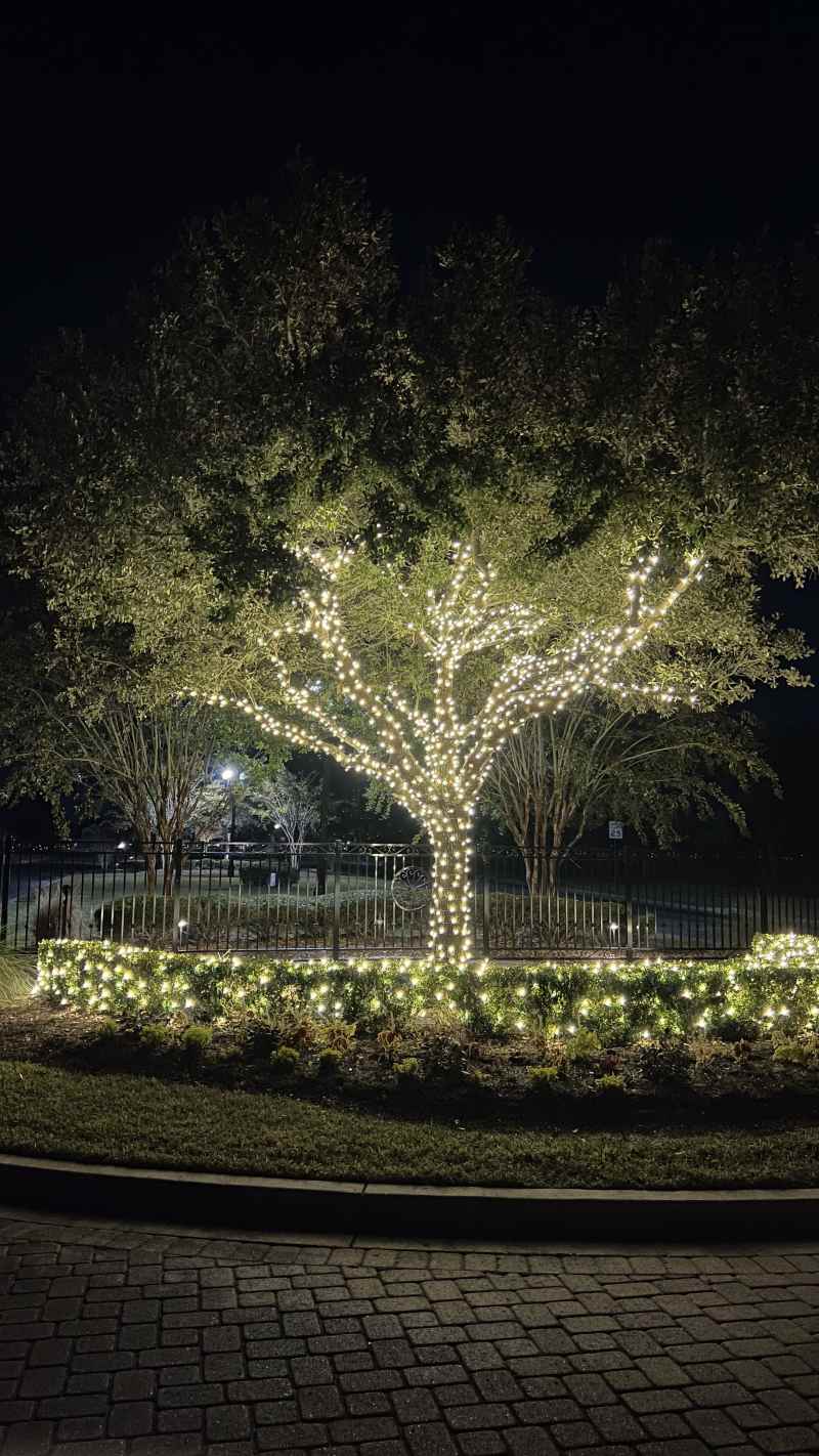 Christmas Light Installation in Conway