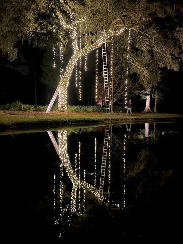 Magical Christmas Lighting in Beaufort