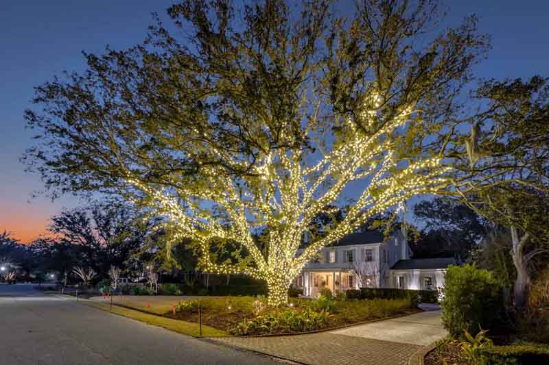 Magical Christmas Lighting in Charleston