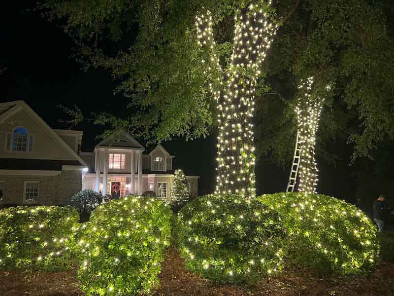 Greenville Christmas Holiday Lights