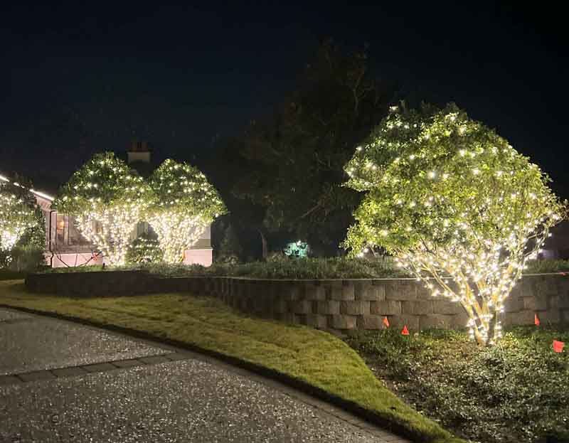 Greenville Christmas Lights Driveway