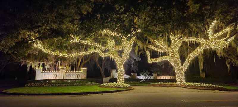 Greenville Christmas Lights Neighorhood Entrance