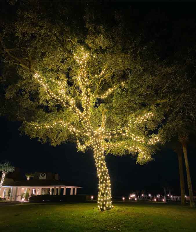 Magical Christmas Lighting in Myrtle Beach