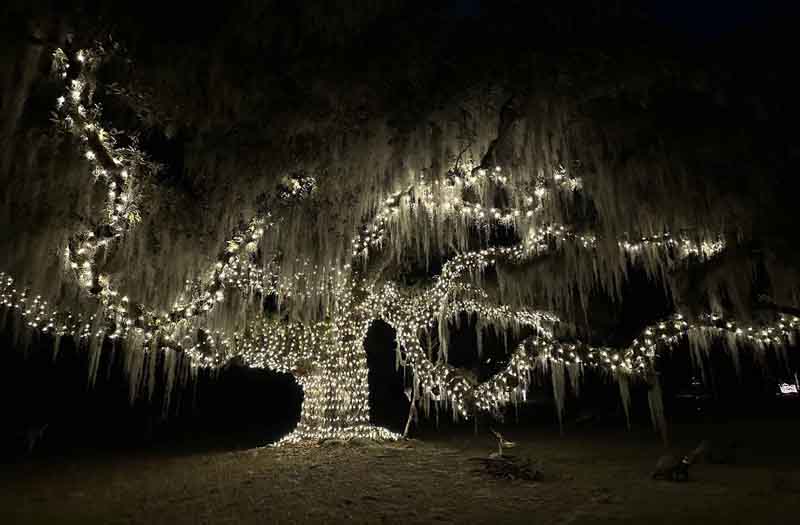 Enchanted Christmas Lighting in Wilmington