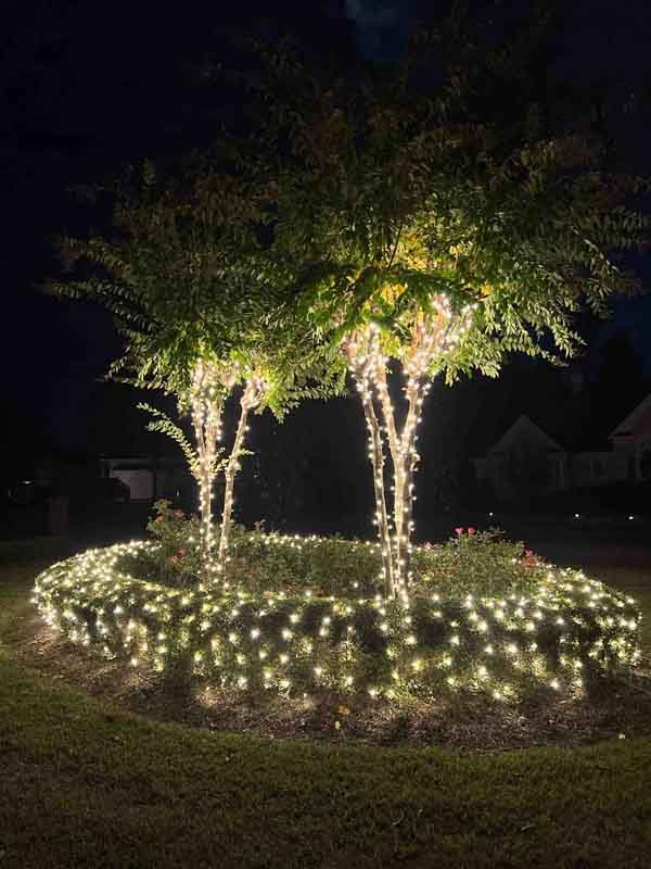 Wilmington Holiday Lights: Coastal Glow