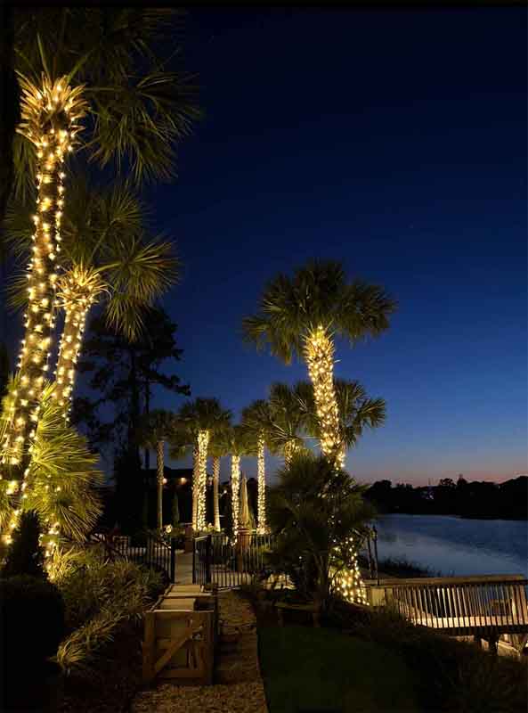 Wilmington Waterfront Christmas Lights